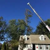 Affordable landscape installation in Princeton, NJ - Fair Tree & Landscaping Services