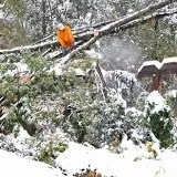 Professional yard cleanup service experts serving Princeton, NJ - Fair Tree & Landscaping Services