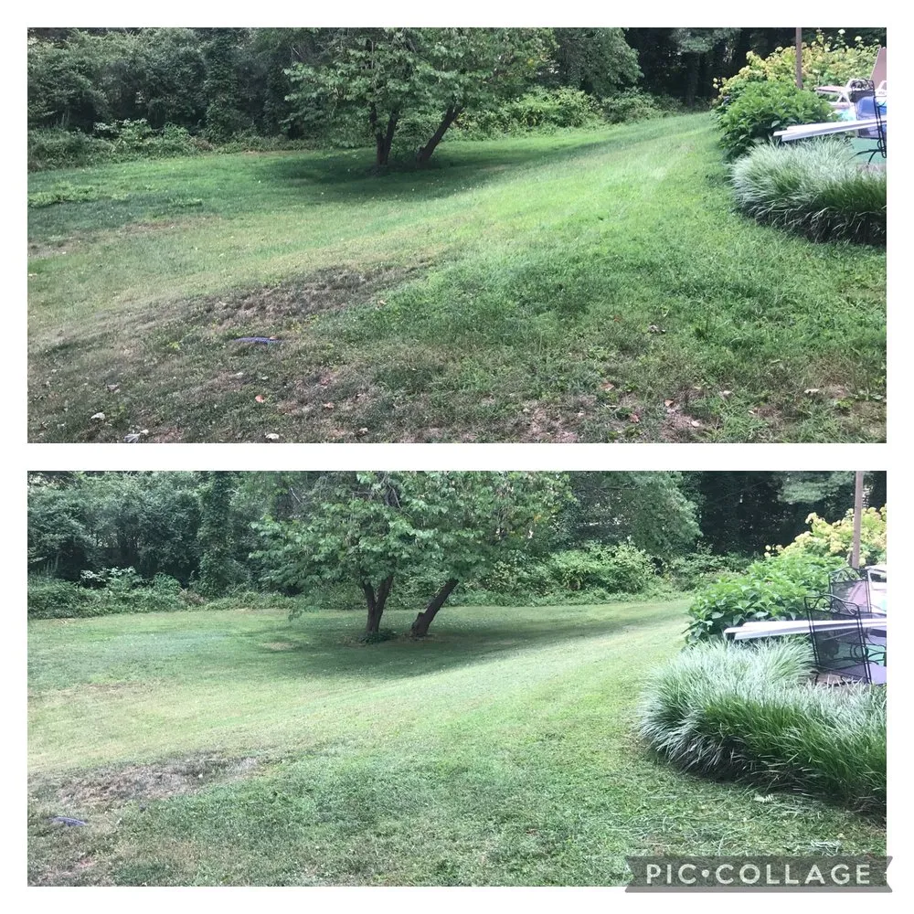 Professional residential landscaping in Charlottesville, VA - Fair Tree