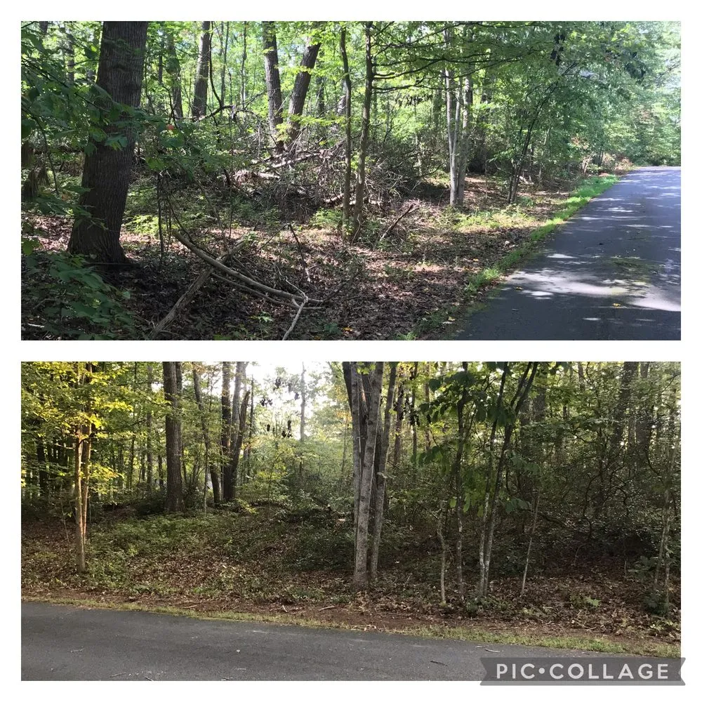 Expert lawn mowing service experts serving Charlottesville, VA - Fair Tree