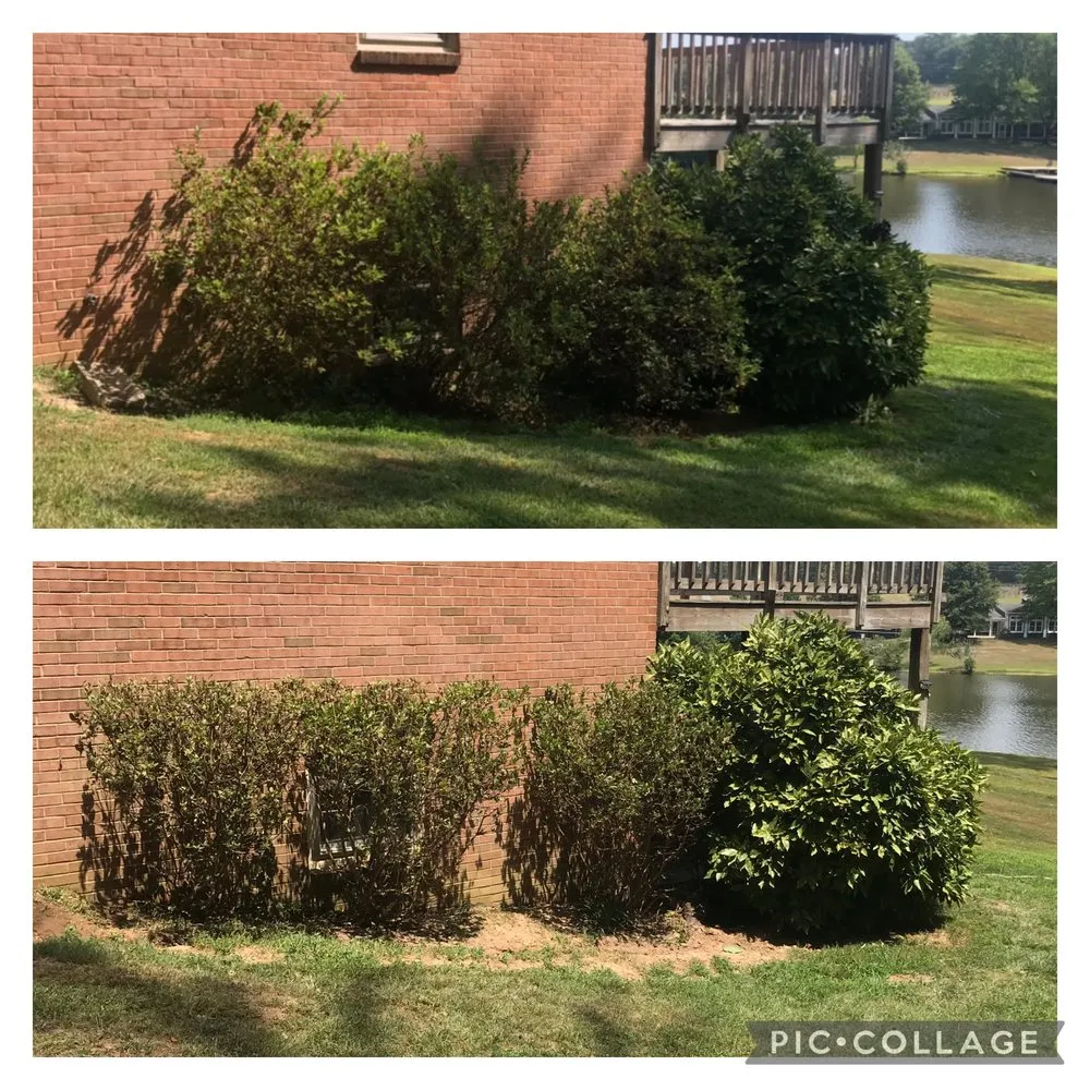 Expert landscape installation for homes across Charlottesville, VA - Fair Tree