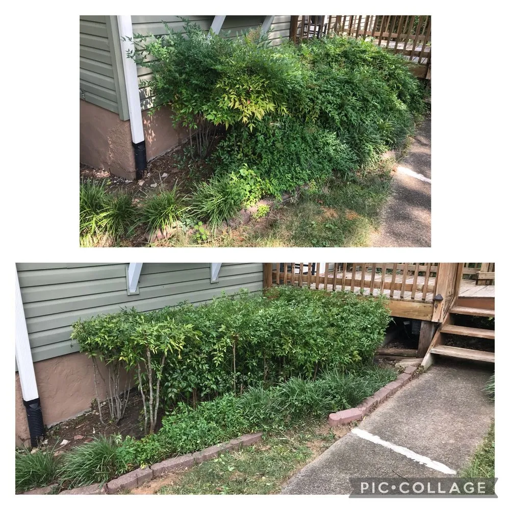 Expert lawn care service experts serving Charlottesville, VA - Fair Tree