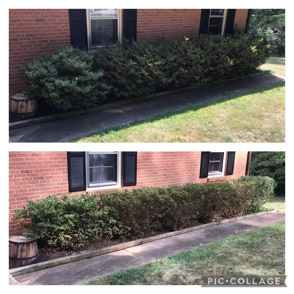 Expert outdoor landscaping experts serving Charlottesville, VA - Fair Tree