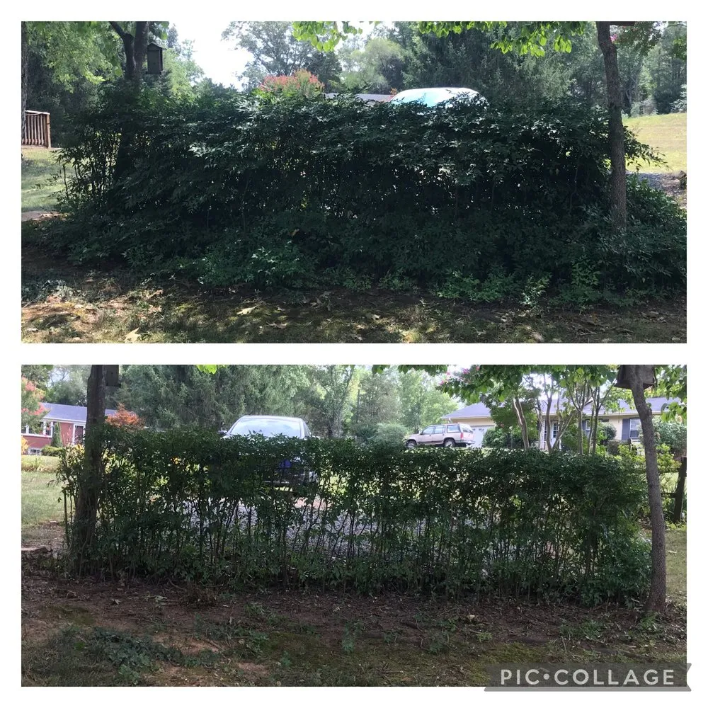 Custom garden landscaping in Charlottesville, VA - Fair Tree