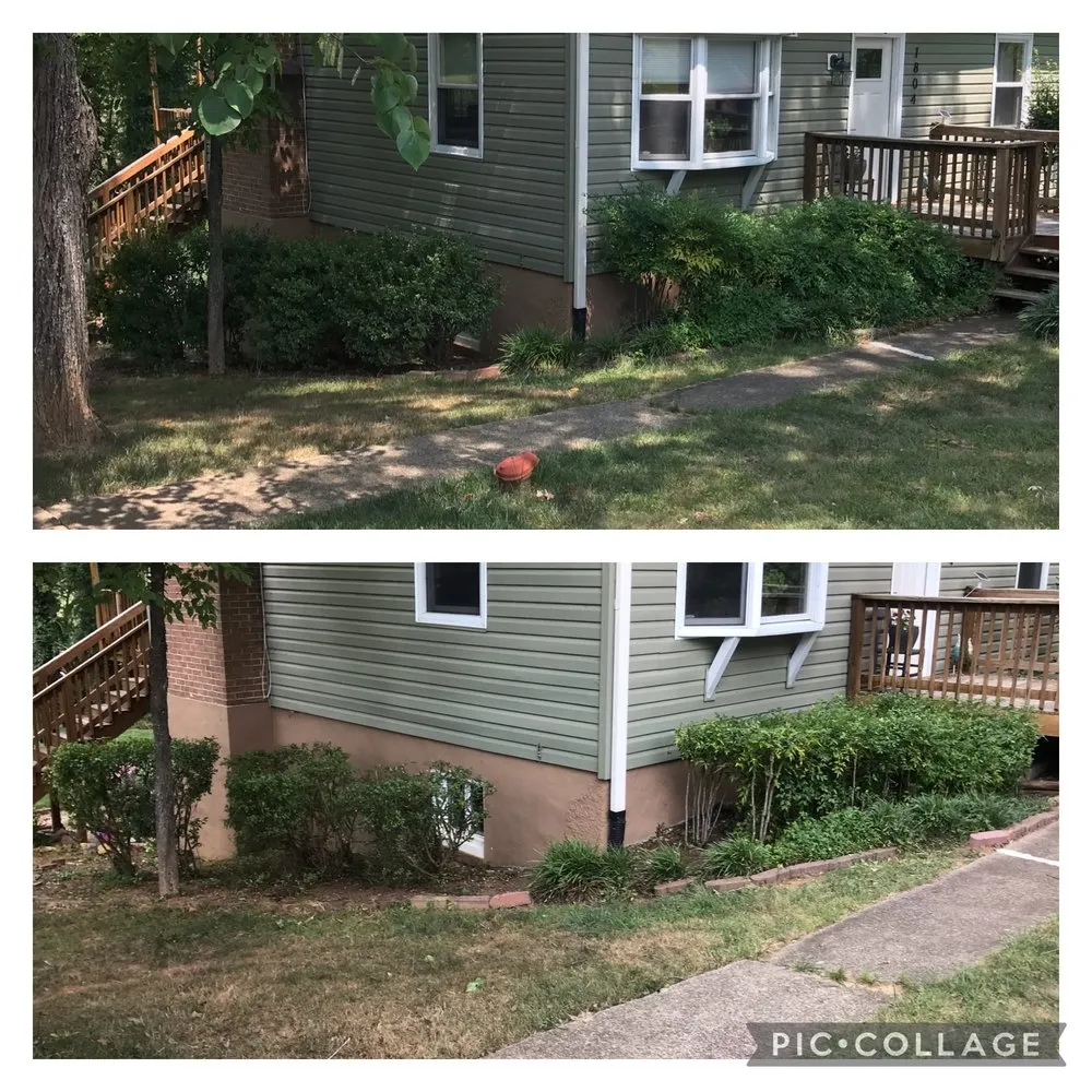 Trusted yard cleanup service near you across Charlottesville, VA - Fair Tree