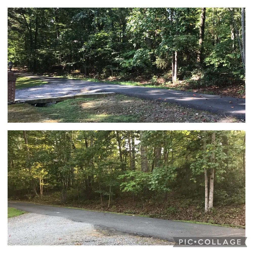 Affordable yard cleanup service for residential properties in Charlottesville, VA by Fair Tree