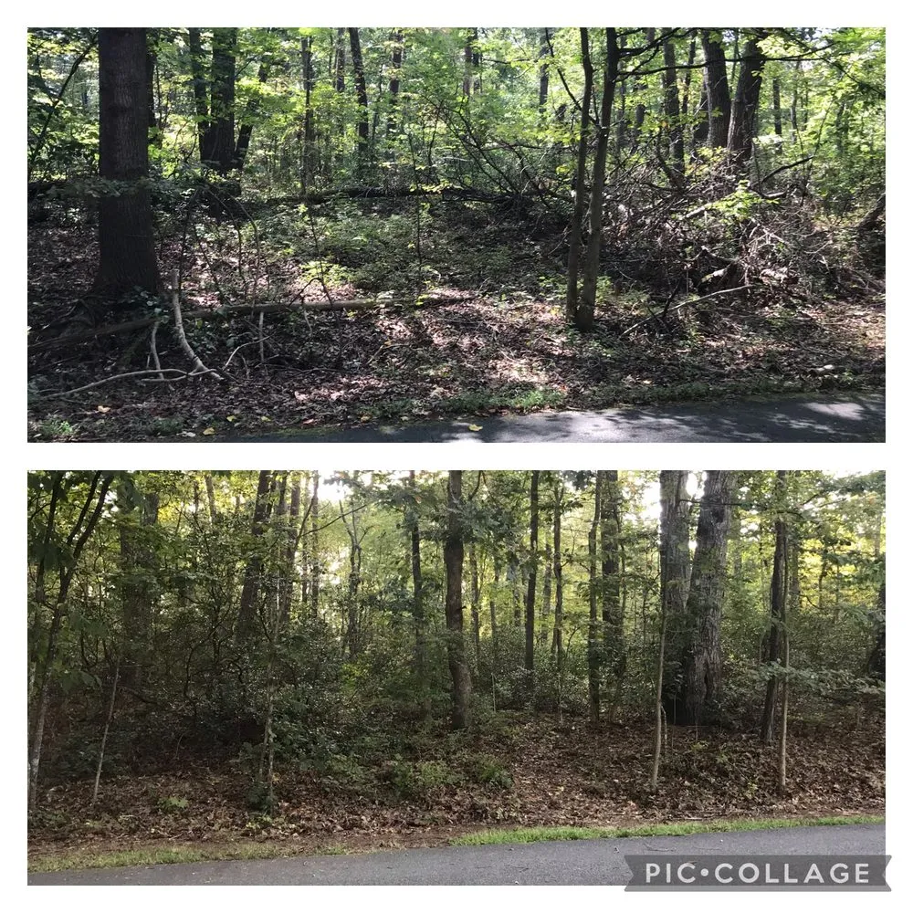 Professional landscape installation in Charlottesville, VA by Fair Tree