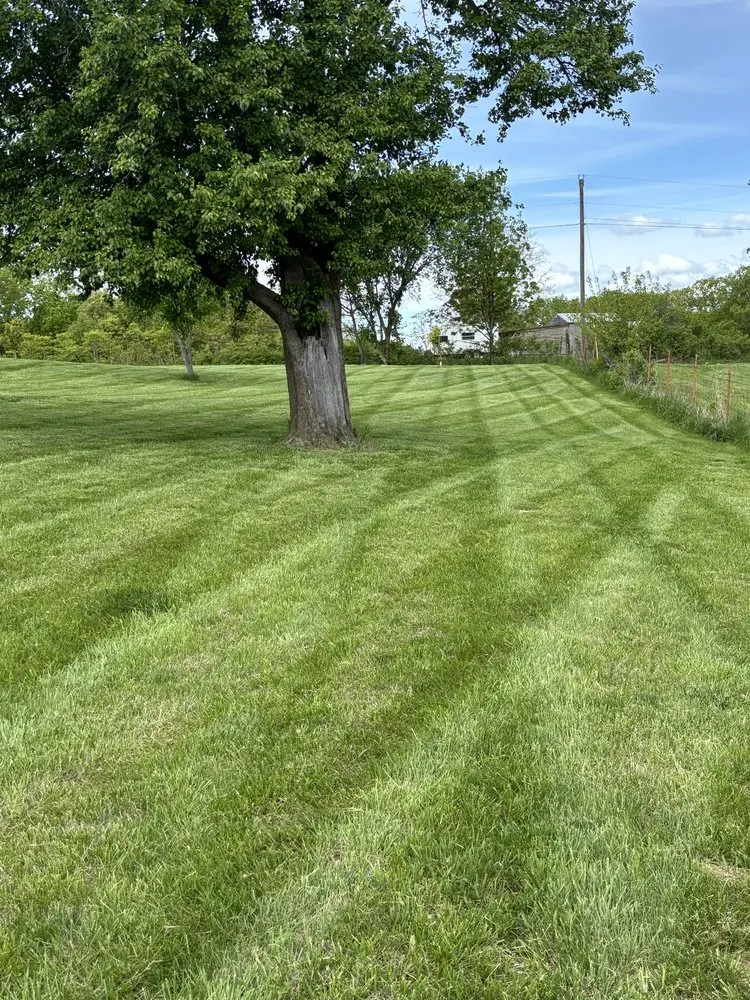 Professional lawn care service for outdoor upgrades across Bowling Green, MO - Fairchild Lawncare