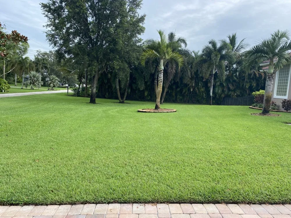 Trusted residential landscaping for beautiful yards in Augusta, GA by Fairell Pest & Lawn