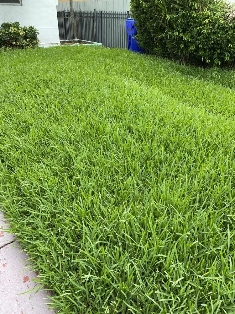 Trusted yard maintenance in Augusta, GA by Fairell Pest & Lawn