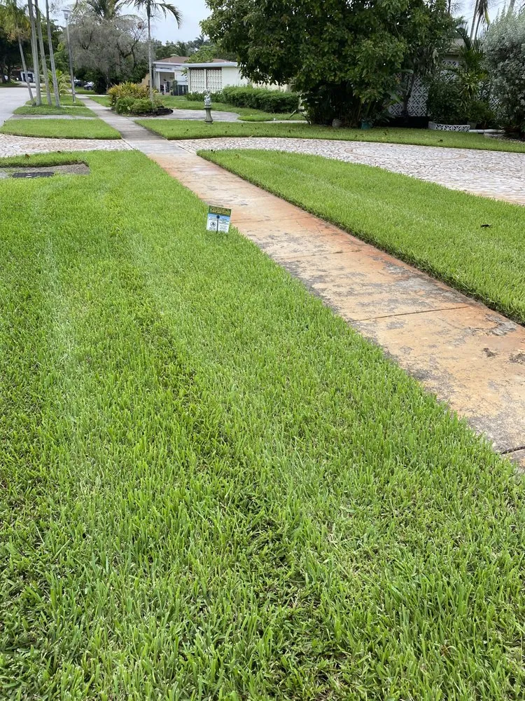 Affordable outdoor landscaping with custom design in Augusta, GA by Fairell Pest & Lawn