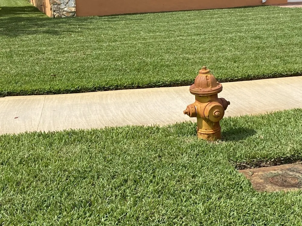 Affordable lawn care service in Miami Gardens, FL by Fairell Pest & Lawn