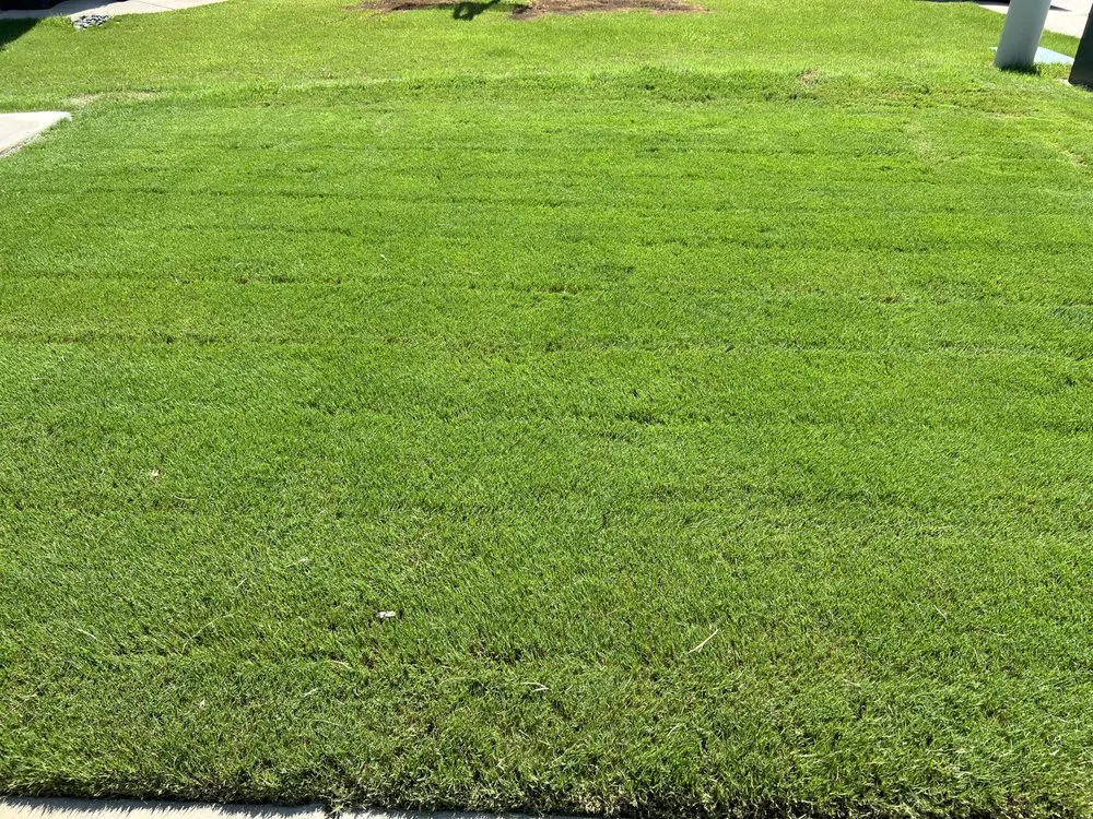 Custom garden landscaping with custom design across Miami Gardens, FL - Fairell Pest & Lawn