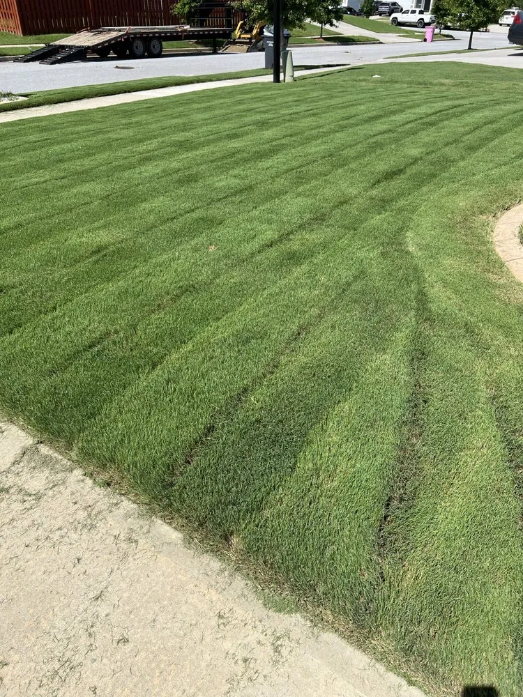 Expert residential landscaping for year-round maintenance across Miami Gardens, FL - Fairell Pest & Lawn