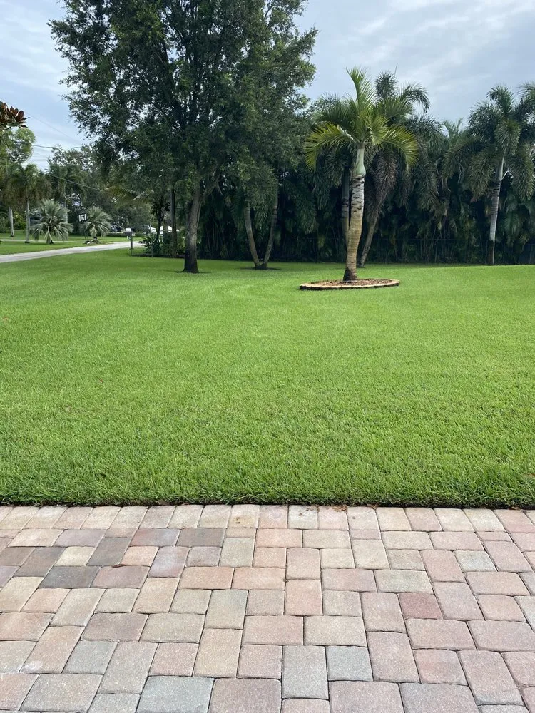 Custom lawn care service experts serving Miami Gardens, FL - Fairell Pest & Lawn