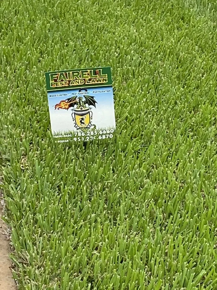 Custom outdoor landscaping for outdoor upgrades in Miami Gardens, FL by Fairell Pest & Lawn