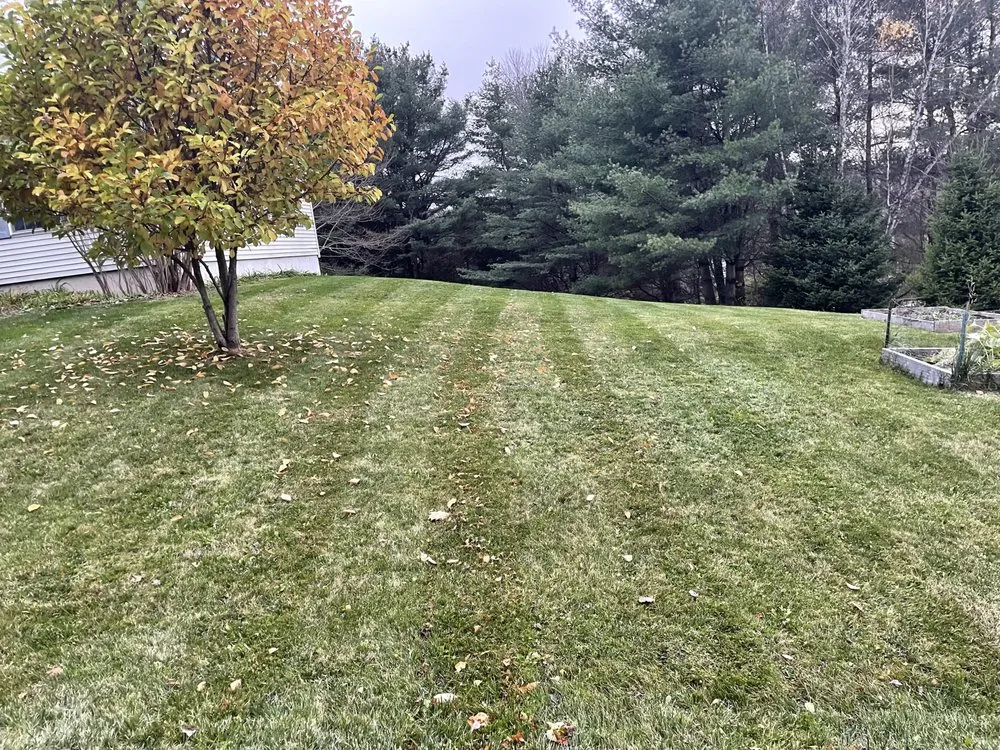 Custom lawn care service in Fairfax, VT by Fairfax Green Lawn Care & Services