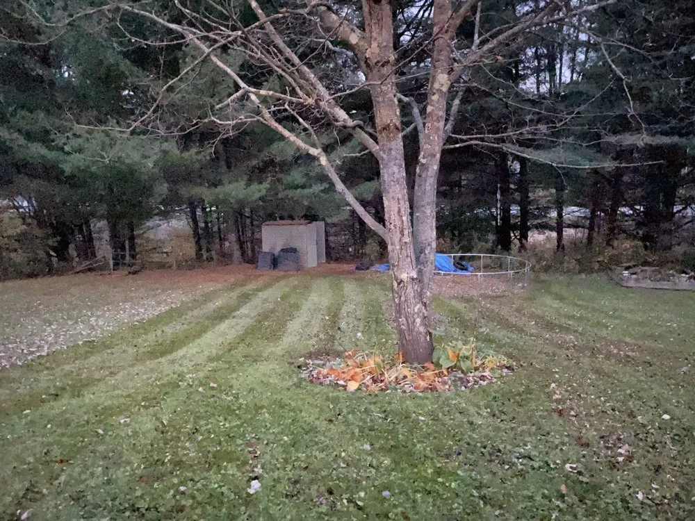 Trusted yard maintenance in Fairfax, VT by Fairfax Green Lawn Care & Services