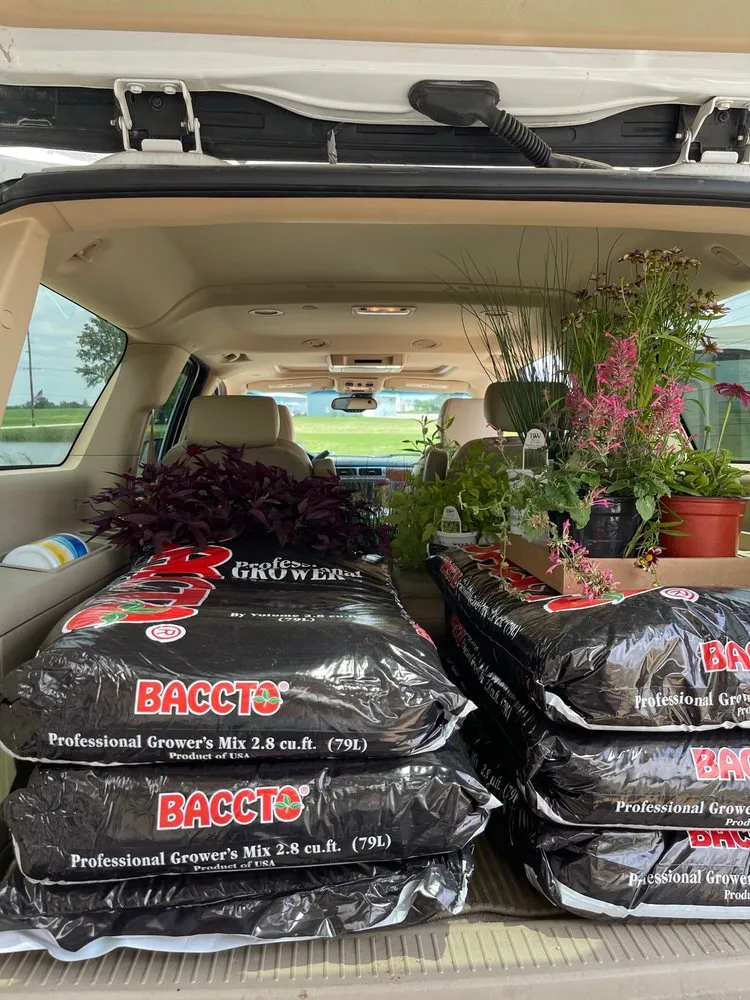 Professional yard cleanup service for year-round maintenance across Fairfax, IA - Fairfax Greenhouse & Landscape