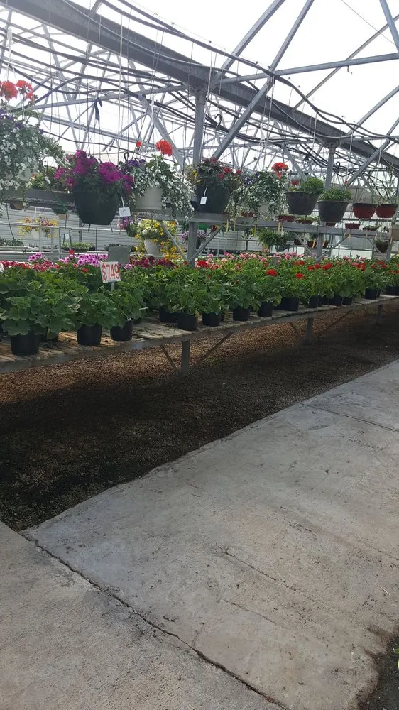 Professional yard cleanup service in Fairfax, IA by Fairfax Greenhouse & Landscape