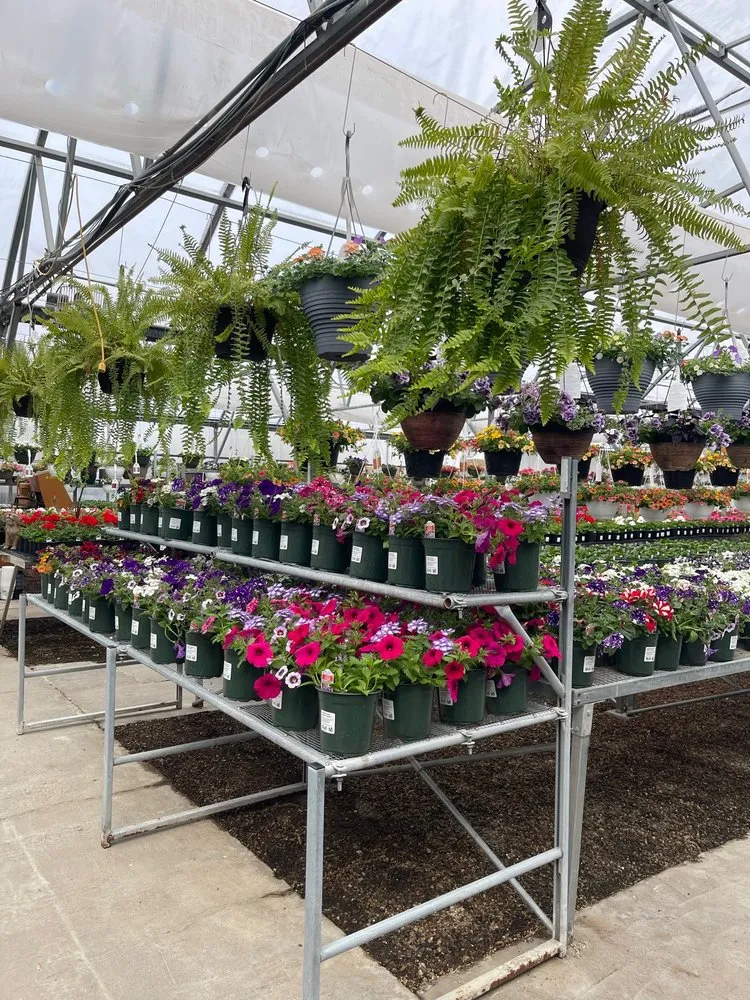 Reliable yard maintenance in Fairfax, IA - Fairfax Greenhouse & Landscape