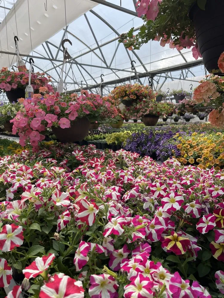 Affordable yard cleanup service for beautiful yards in Fairfax, IA by Fairfax Greenhouse & Landscape