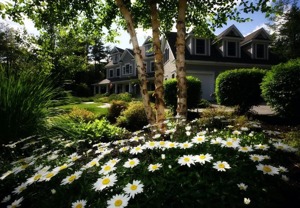 Top-rated landscape design experts serving Vienna, VA - Fairfax Grounds Maintenance