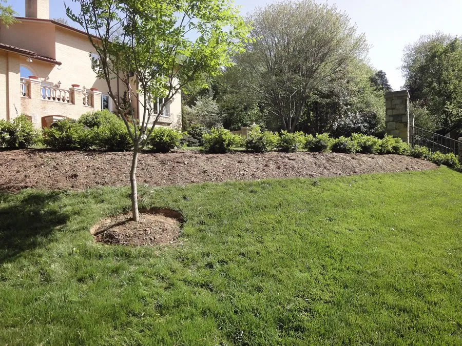 Professional lawn care service for outdoor upgrades in Vienna, VA by Fairfax Grounds Maintenance