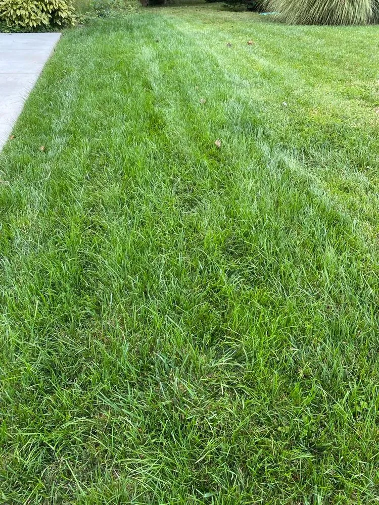 Reliable residential landscaping experts serving Fairfax, VA - Fairfax Landscape & Gardening