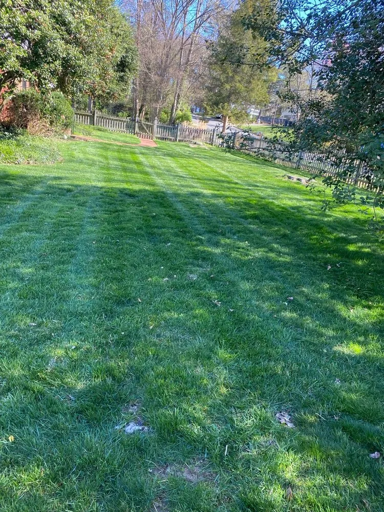 Local residential landscaping experts serving Fairfax, VA - Fairfax Landscape & Gardening