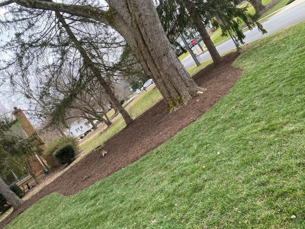 Custom landscape installation in Fairfax, VA by Fairfax Landscape & Gardening