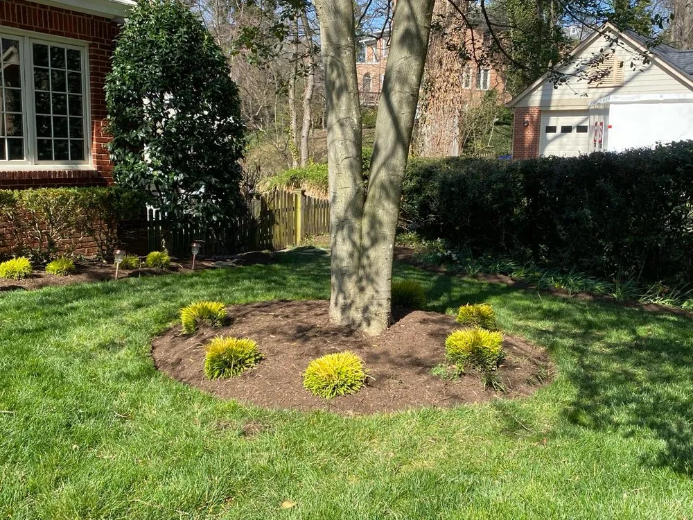 Expert lawn care service for beautiful yards across Fairfax, VA - Fairfax Landscape & Gardening