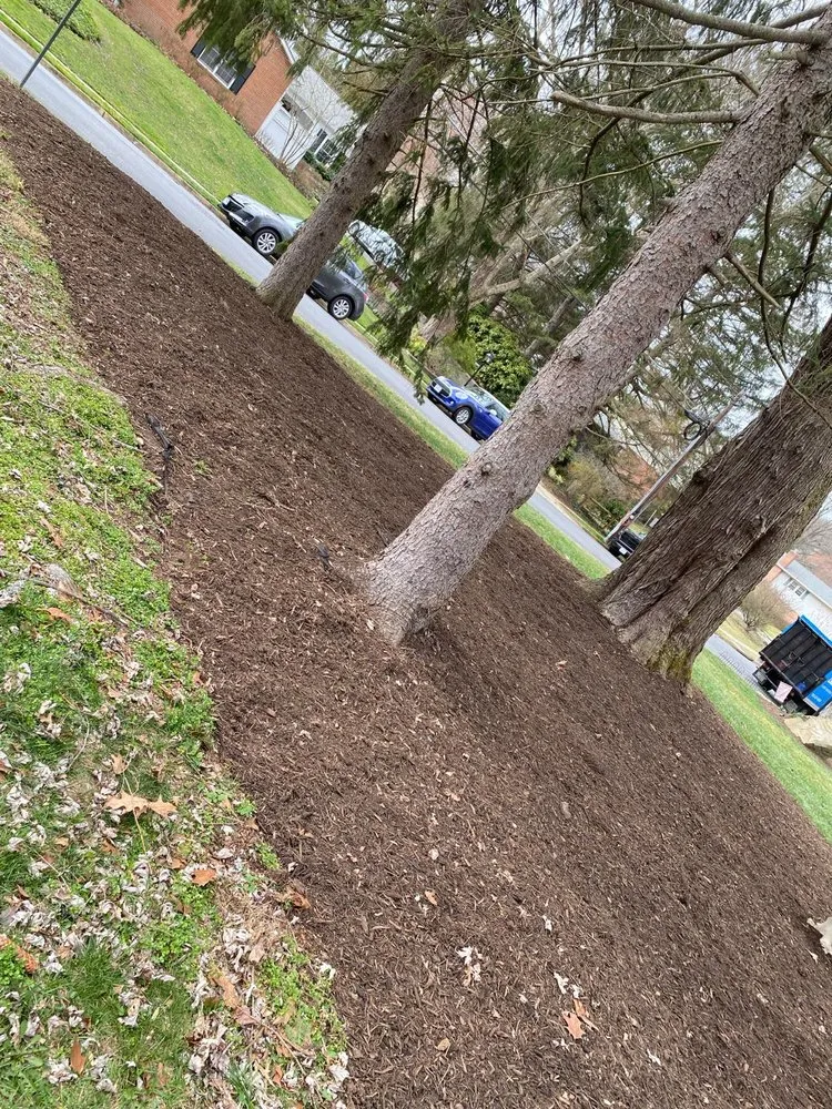 Top-rated residential landscaping for year-round maintenance across Fairfax, VA - Fairfax Landscape & Gardening