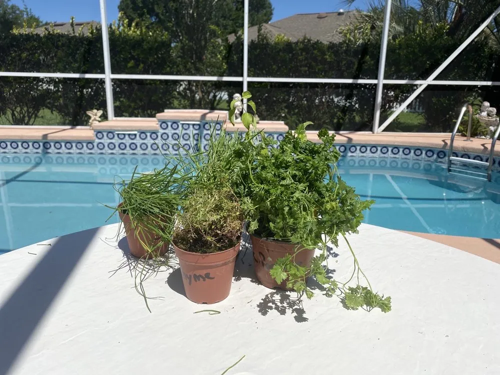 Local landscaping services in Oxford, FL by Fairfield Farms