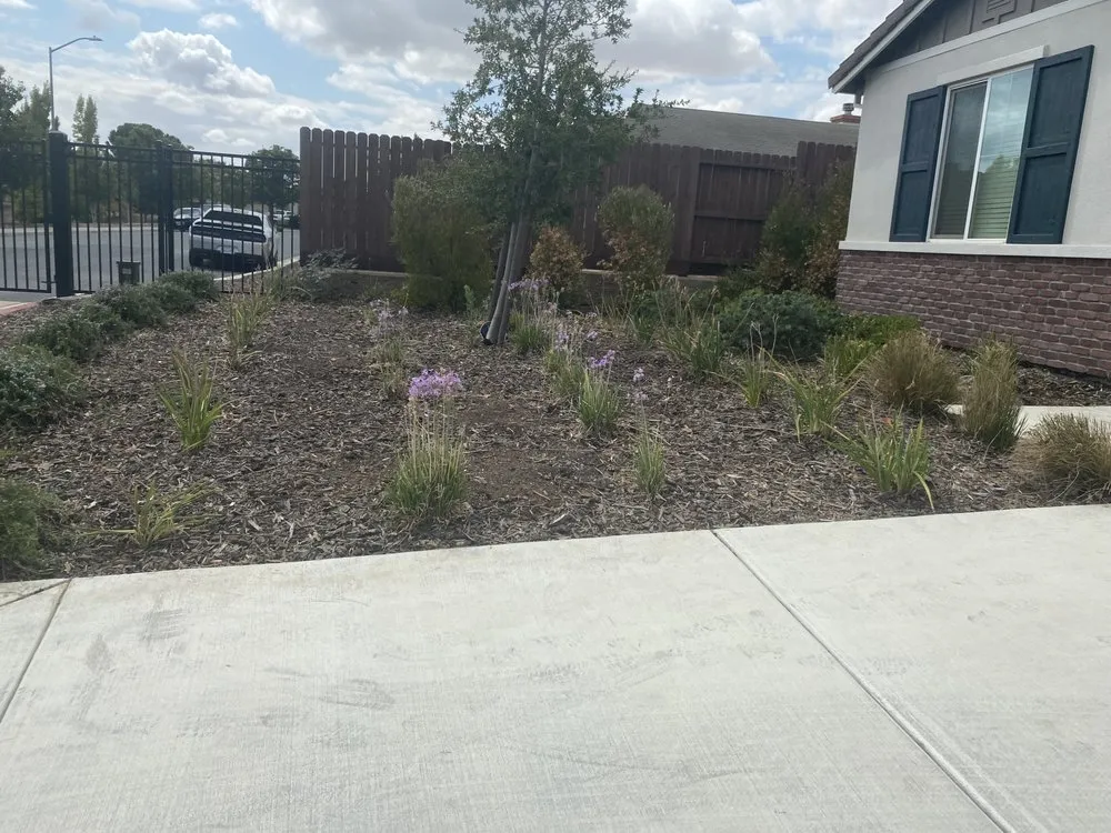 Local yard maintenance with custom design in Fairfield, CA by Fairfield Landscape