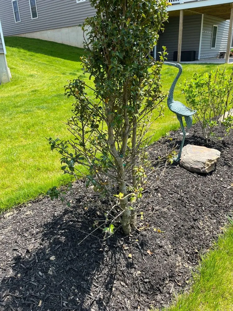 Affordable yard maintenance in Canonsburg, PA by Fairfield Landscaping