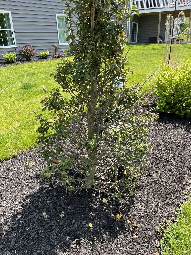 Custom yard maintenance in Canonsburg, PA by Fairfield Landscaping