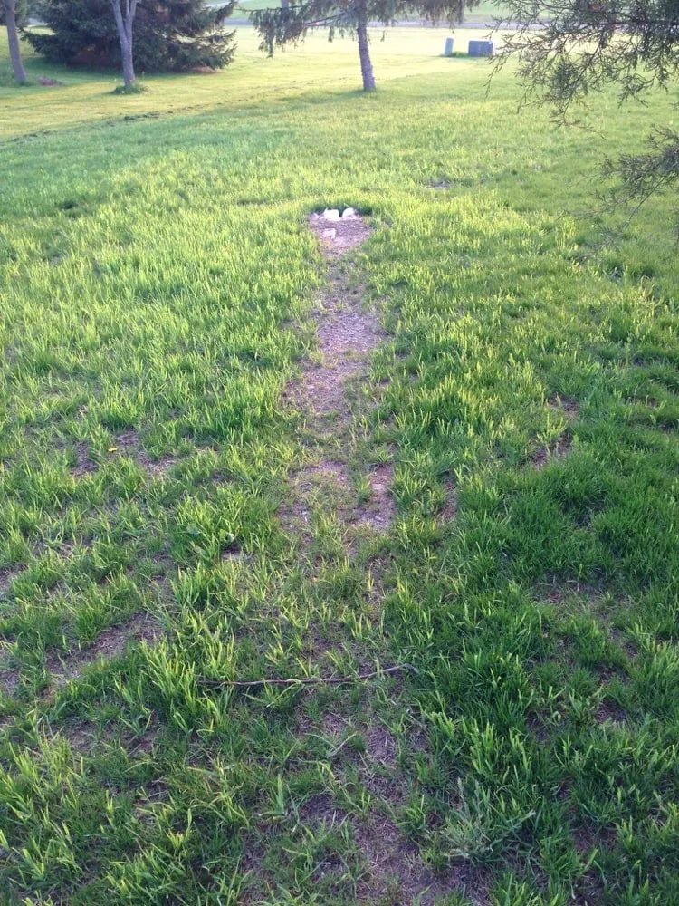 Affordable landscaping services in Fairfield, PA - Fairfield Landscaping