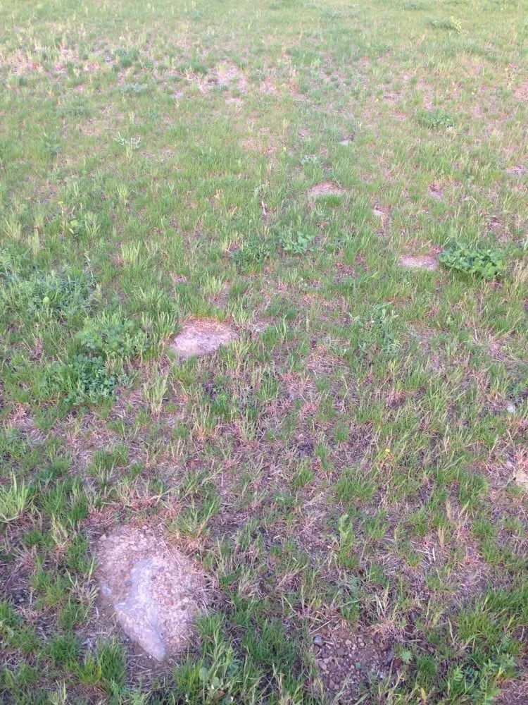 Professional residential landscaping with custom design across Fairfield, PA - Fairfield Landscaping