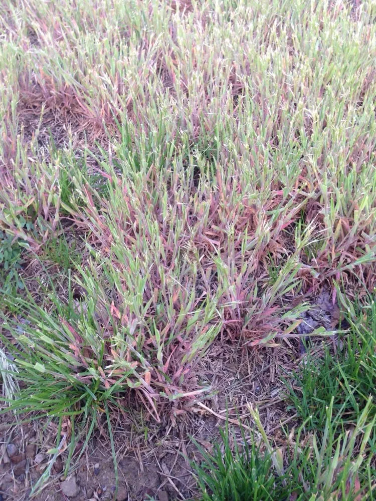 Affordable landscape installation in Fairfield, PA by Fairfield Landscaping