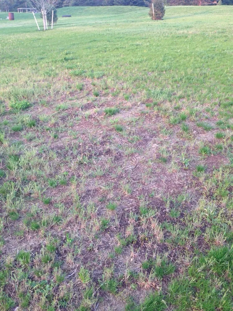 Local yard maintenance for outdoor upgrades across Fairfield, PA - Fairfield Landscaping