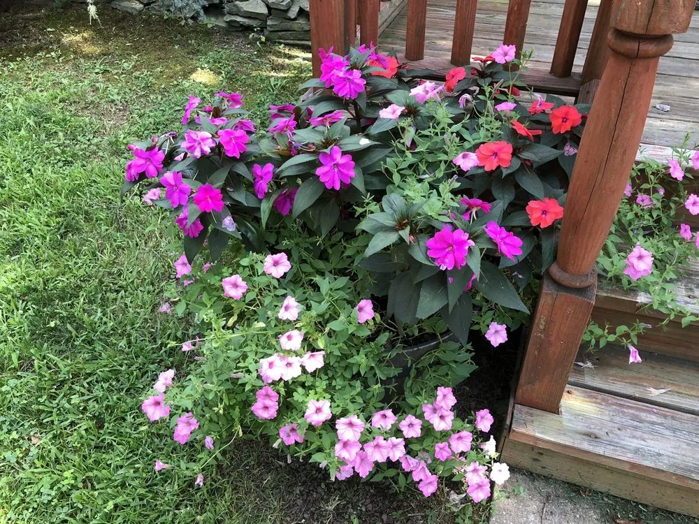 Affordable yard maintenance in Fairless Hills, PA by Fairless Hills Garden Center