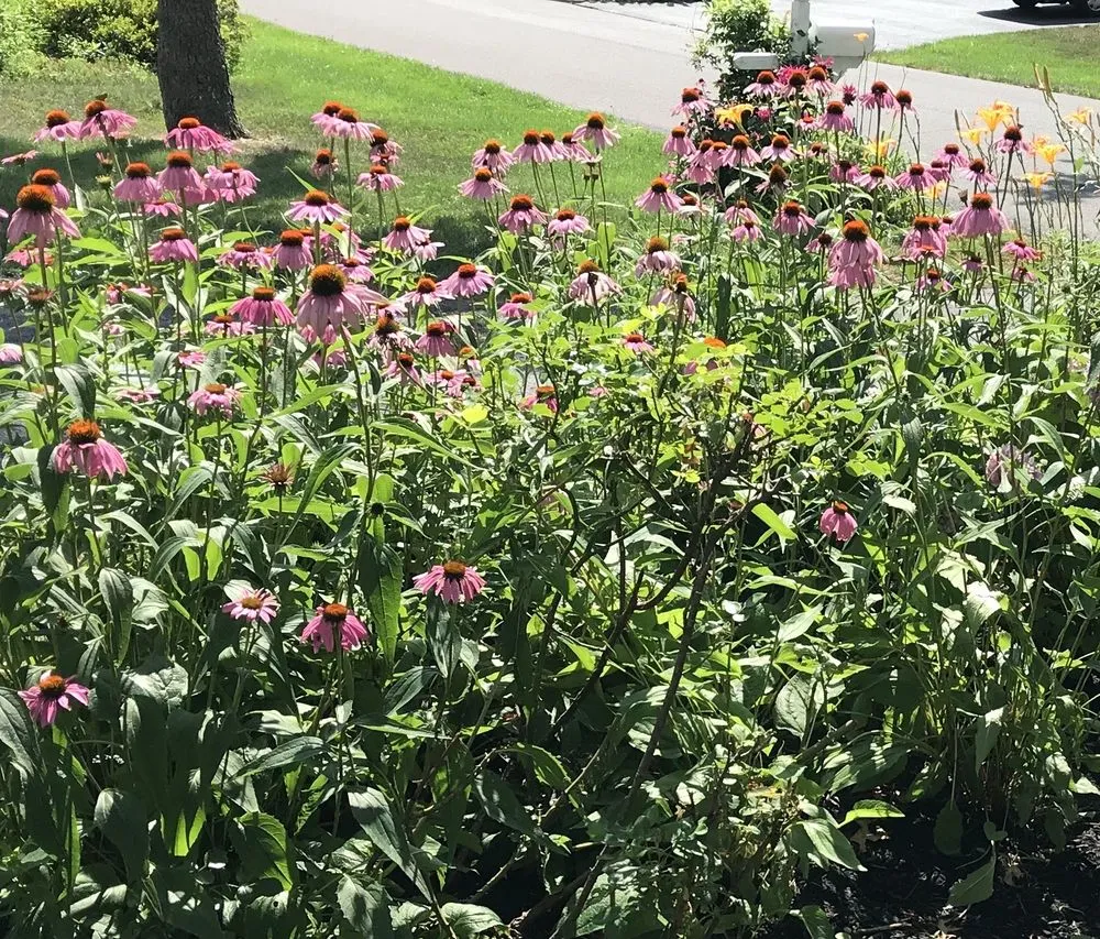 Reliable outdoor landscaping for year-round maintenance across Fairless Hills, PA - Fairless Hills Garden Center