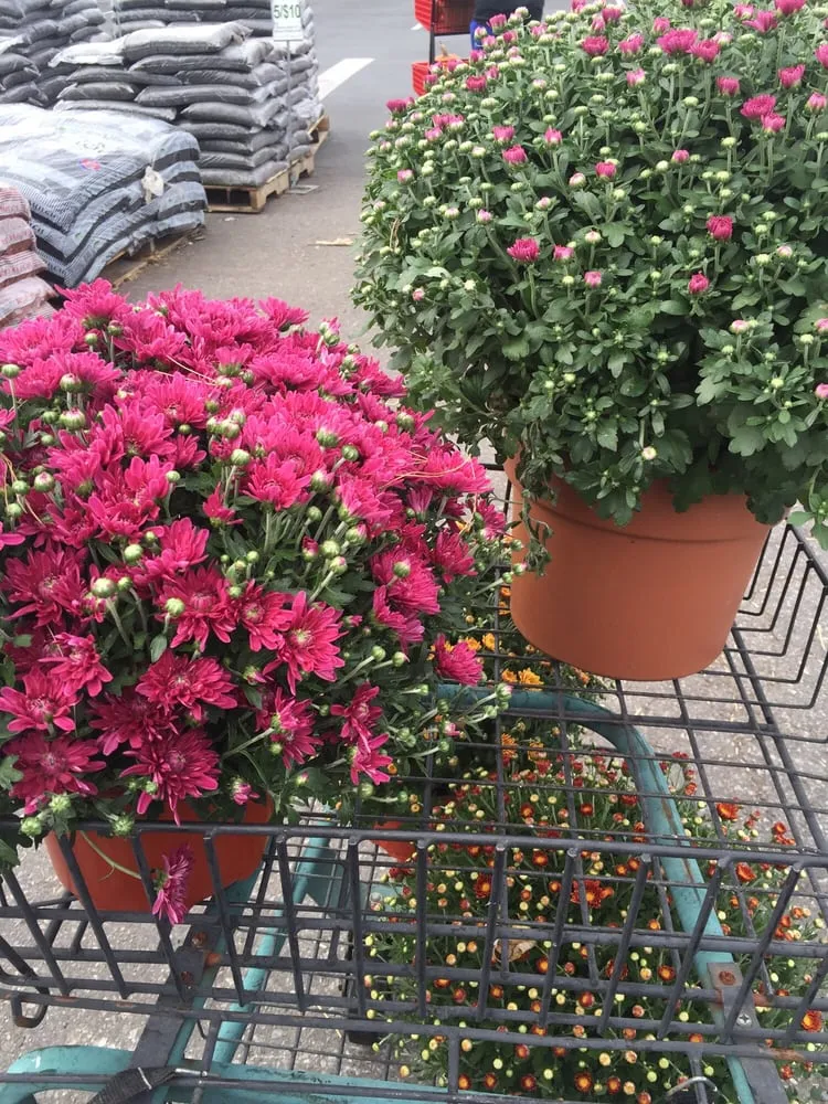 Trusted outdoor landscaping with custom design in Fairless Hills, PA by Fairless Hills Garden Center