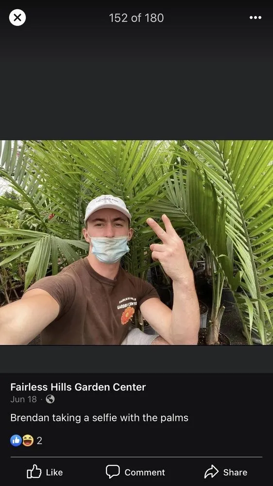 Professional outdoor landscaping experts serving Fairless Hills, PA - Fairless Hills Garden Center