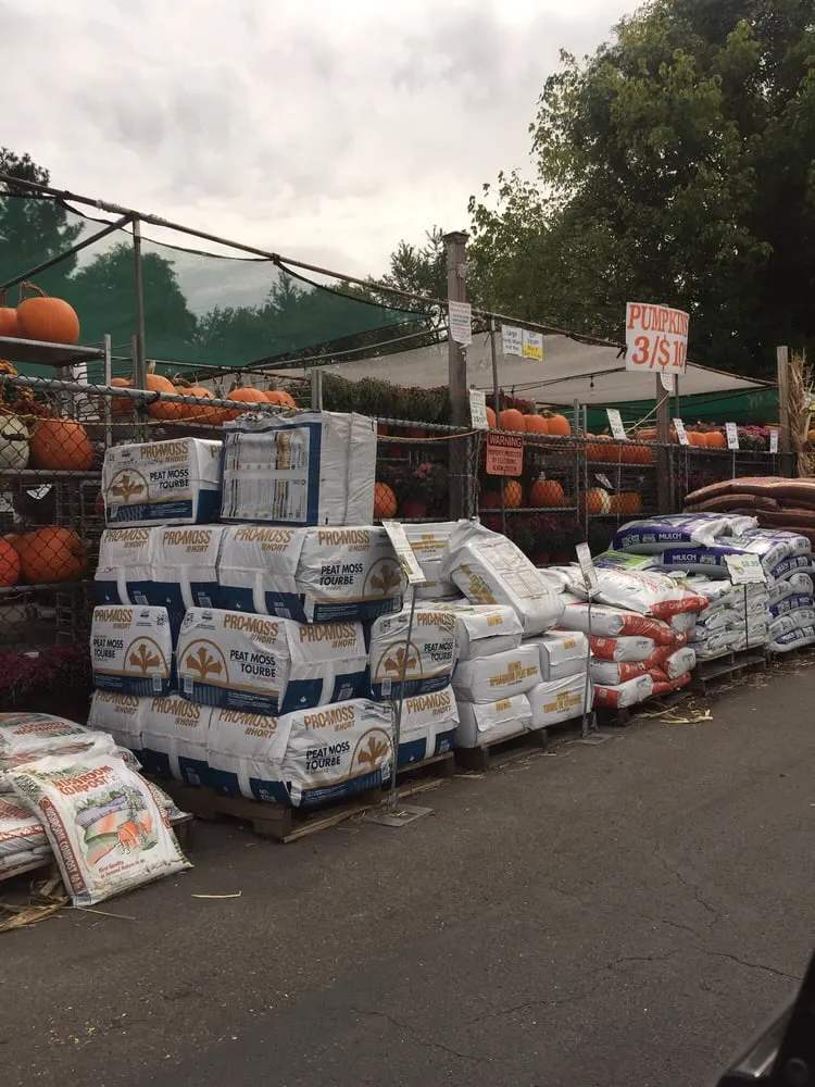 Top-rated yard cleanup service in Fairless Hills, PA by Fairless Hills Garden Center