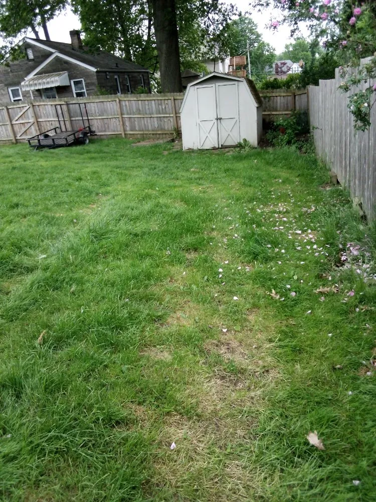 Trusted landscaping services in New Brighton, PA - Fair’s lawncare