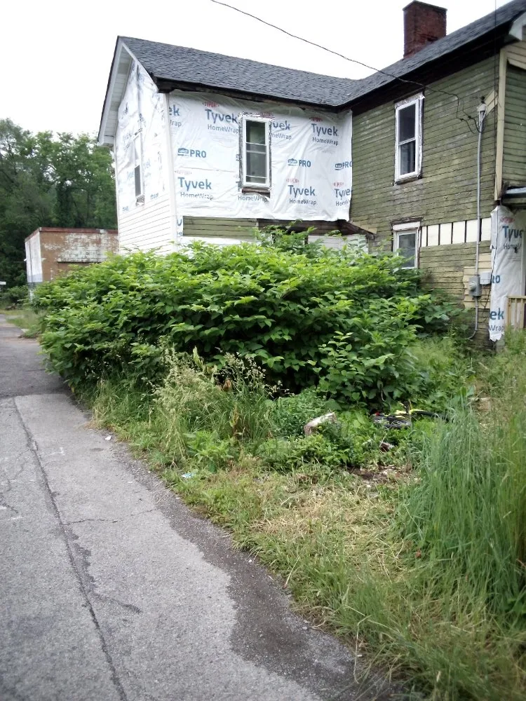 Expert yard cleanup service experts serving New Brighton, PA - Fair’s lawncare