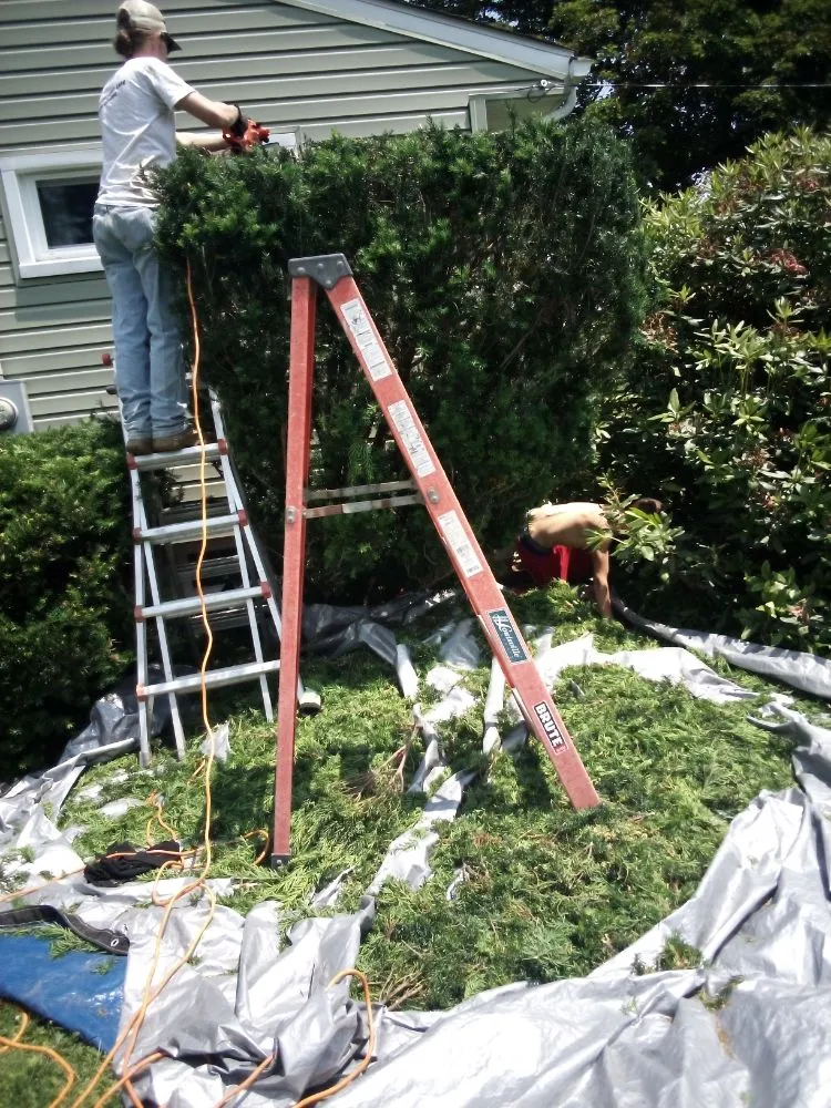 Top-rated garden landscaping for beautiful yards across New Brighton, PA - Fair’s lawncare