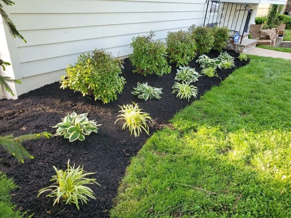 Affordable landscape design experts serving Neptune City, NJ - Fairscapes